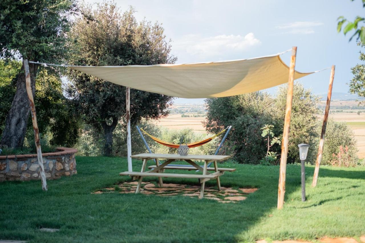 Agriturismo I Grappoli ألبيريزي المظهر الخارجي الصورة